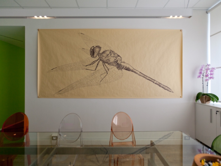 libellula - di Marcello Carrà PICCOLA BOTTEGA DI ARCHITETTURA
