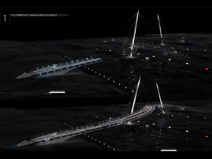 Viste notturne del ponte IL PONTE DELLE GRU - DEN ROTERENDE KRANBROEN